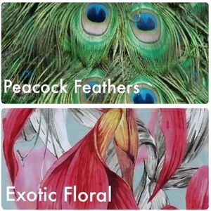 50 Assorted Polymailer Peacock Tropical Floral Shipping Sell Fun 10x13